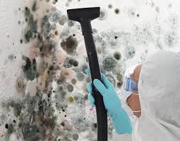 Mold Odor Removal Services in Deland Southwest, FL